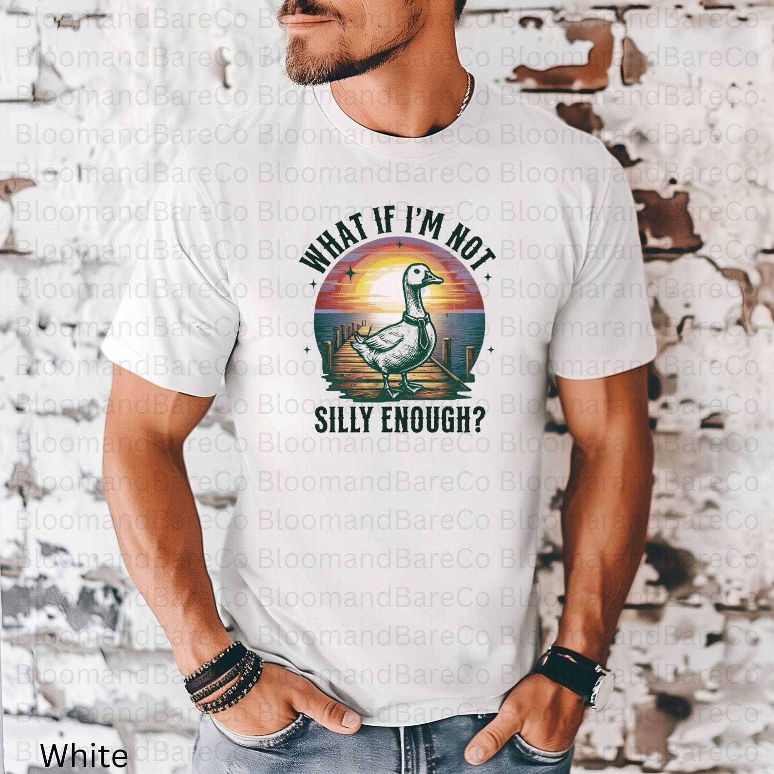 What If I'm Not Silly Enough PNG| Silly Goose on the Loose| Silly Goose ...
