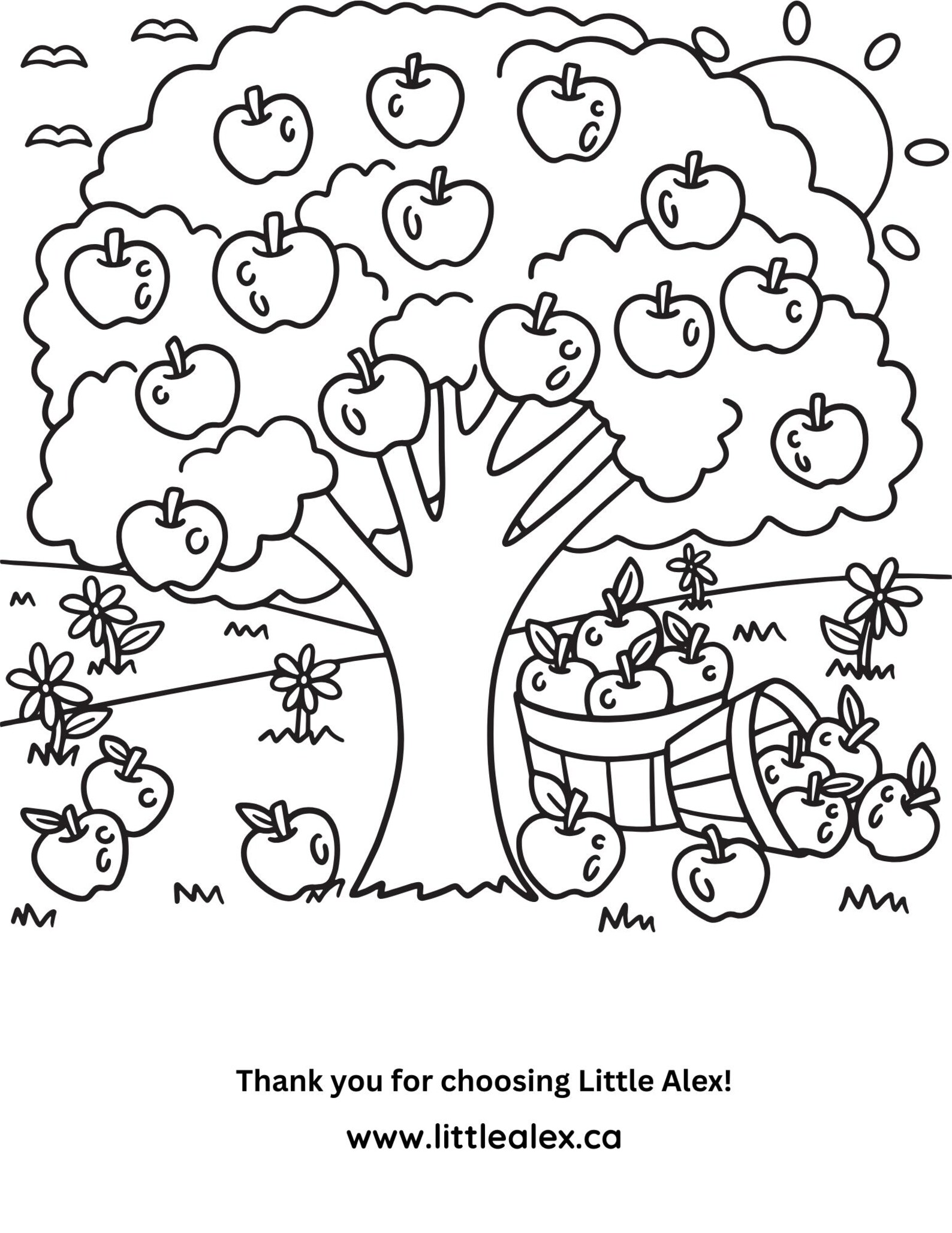 Apple Picking Colouring Page for Kids | Fall Harvest Printable Activity ...