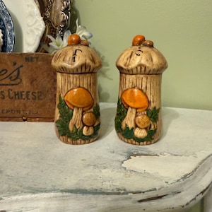 Vintage Ceramic Salt and Pepper Shakers Mushroom Retro/boho/granny core/cottage core; gift