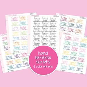 Hand Lettered Script | KAD x Katie K Plans (Cinnamon Rolls)