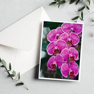 Cartão de orquídea mariposa rosa brilhante [cartão de felicitações botânico em branco - conjunto de cartões botânicos - flores para o dia das mães - cartão exclusivo para o dia das mães - orquídea]