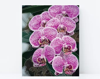 May include: A cluster of pink orchids with white veins, outlined in white, against a dark green background.