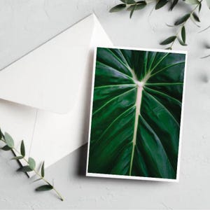 Philodendron blad hoofdnerf kaart [botanische blanco wenskaart - botanische kaartenset - Moederdagbloemen - unieke moederdagkaart - bladkaart]
