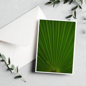Conjunto de cartões com folhagens variadas [cartão de felicitações botânico em branco - conjunto de cartões botânicos - flores para o dia das mães - cartão exclusivo para o dia das mães - arte com folhas]