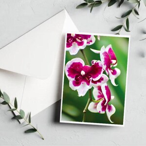Conjunto de cartões florais sortidos [cartão de felicitações botânico em branco - conjunto de cartões botânicos - flores para o dia das mães - cartão exclusivo para o dia das mães - arte com orquídeas]