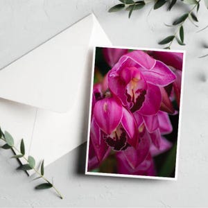 Cartão de orquídea rosa [cartão de felicitações botânico em branco - conjunto de cartões botânicos - flores para o dia das mães - cartão exclusivo para o dia das mães - arte com orquídeas]