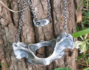 Eternal Life---Raccoon Vertebrae Pendant