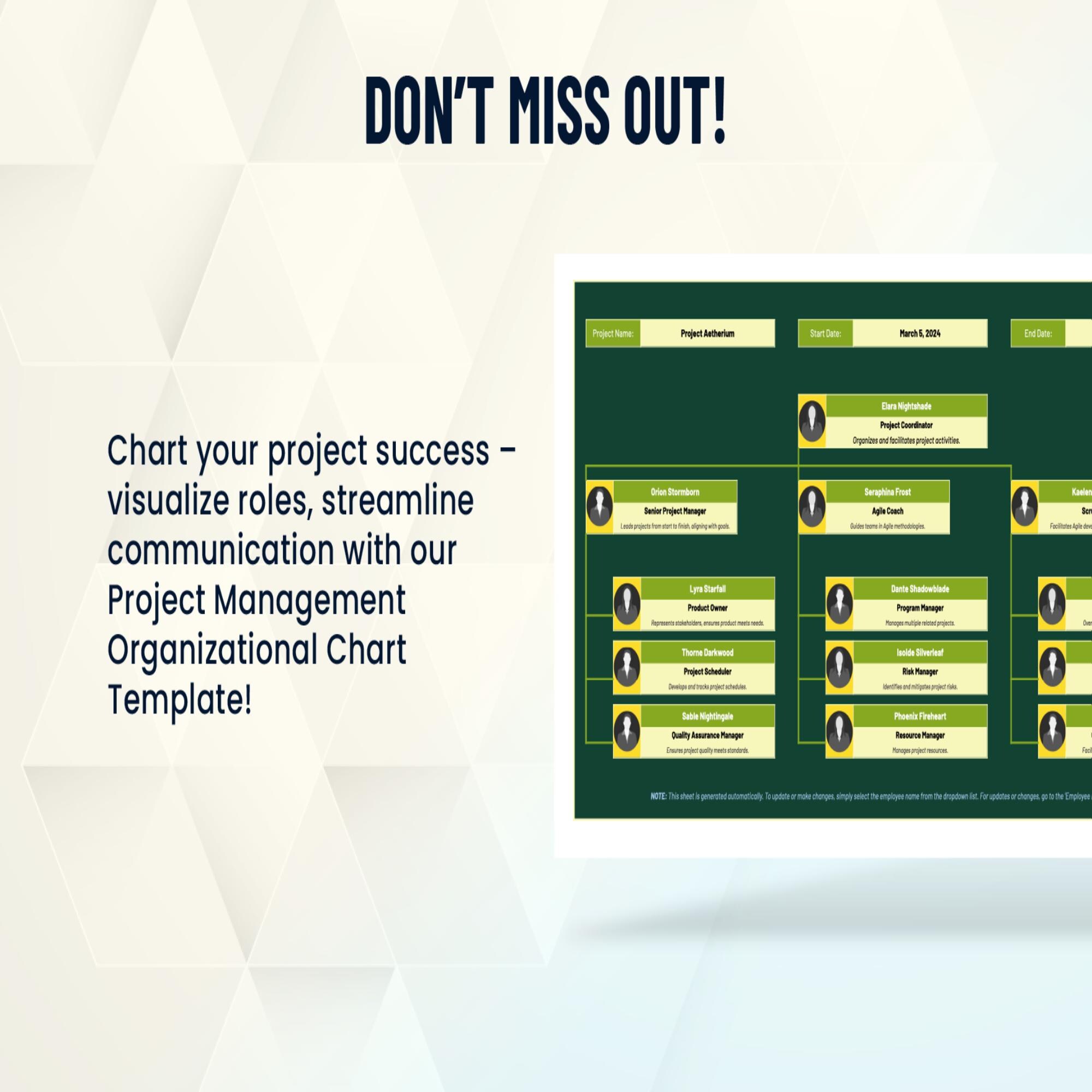 Project Management Organizational Chart Template Excel Google Sheets ...