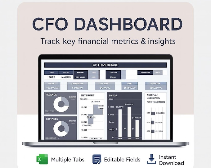 CEO Executive Dashboard - Excel Template | Financial Dashboard ...
