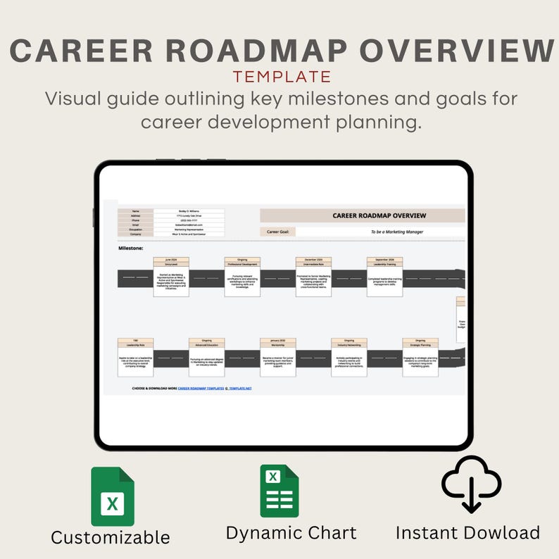 Career Roadmap Overview Template Excel | Professional Development ...