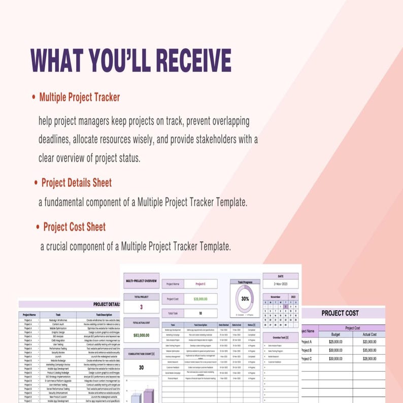 Multiple Project Tracker Template Excel & Google Sheets • Project ...