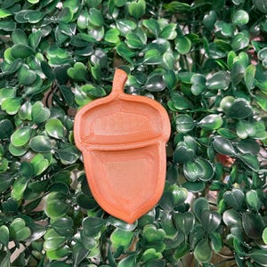 Acorn Food Dish for Hermit Crabs (or reptiles and other small animals)