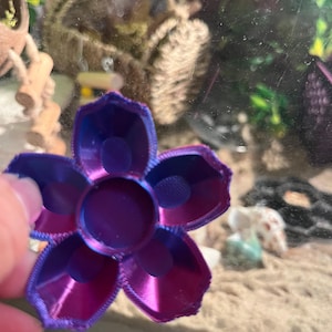 Flower Bowl for Hermit Crabs