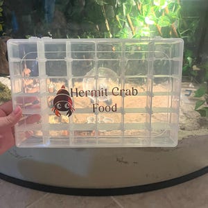 Hermit Crab Food Organizer (Large)
