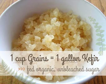 1 Cup LIVE Organic Water Kefir Grains: Probiotic Culture