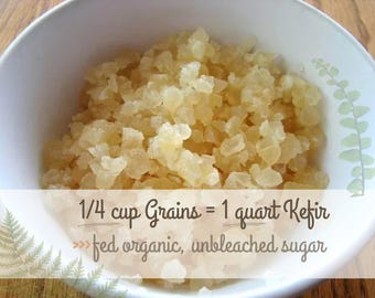 Organic Water Kefir Grains: LIVE Probiotic Culture (1/4 Cup)