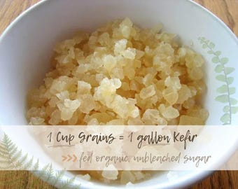 1 taza de granos de kéfir de agua orgánicos vivos: cultivo probiótico