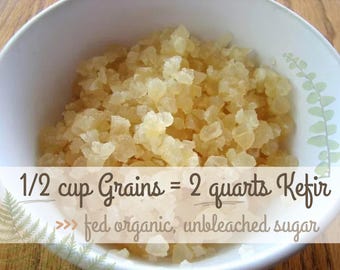 1/2 Cup Live Organic Water Kefir Grains: Probiotic Starter