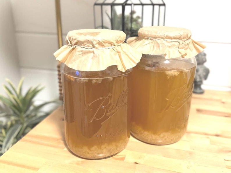 Puede incluir: Dos frascos grandes de vidrio llenos de un l&iacute;quido marr&oacute;n claro, probablemente una bebida fermentada. Cada frasco est&aacute; sellado con una cubierta de papel y cuerda. Los frascos est&aacute;n sobre una superficie de madera.