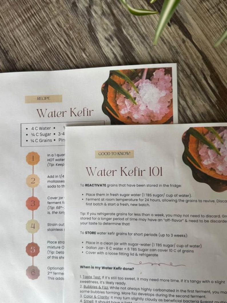 Puede incluir: Primer plano de hojas de recetas impresas para hacer k&eacute;fir de agua. Las hojas incluyen instrucciones y consejos para reactivar y almacenar los granos de k&eacute;fir de agua. El texto incluye el t&iacute;tulo "Water Kefir 101" y una receta para hacer k&eacute;fir de agua.