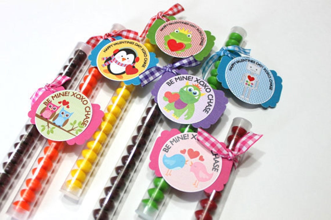 Valentines Day Treats (24) Valentine Pals Skittles Treat Favor