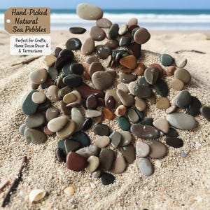 Black Sea Pebbles, Large Beach Stones, Craft & Decor, 20 Pcs (1.6-2.4")