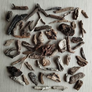 100 Small Driftwood Unique Pieces, Driftwood Chunks, Driftwood Sticks, Driftwood Mix, Freshwater Driftwood for Aquariums, Sea Wood Chunks