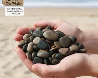 Guijarros marinos seleccionados a mano – Piedras naturales a granel para artesanía y decoración playera