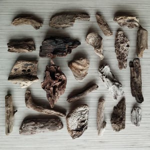 20 Small Driftwood Unique Pieces, Driftwood Chunks, Driftwood Sticks, Driftwood Mix, Freshwater Driftwood for Aquariums, Sea Wood Chunks
