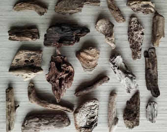 20 Small Driftwood Unique Pieces, Driftwood Chunks, Driftwood Sticks, Driftwood Mix, Freshwater Driftwood for Aquariums, Sea Wood Chunks
