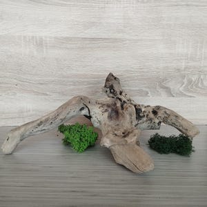 Natural Driftwood Sculpture, Aquarium Driftwood, Unique Coastal Home Decor, Organic Wood Art, Driftwood Home Gift, Driftwood Branch