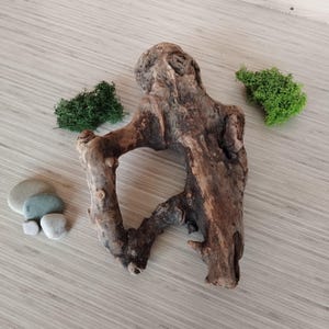 Natural Driftwood Sculpture – Unique Coastal Home Decor – Organic Wood Art - Driftwood Home Gift - Decor for Aquarium