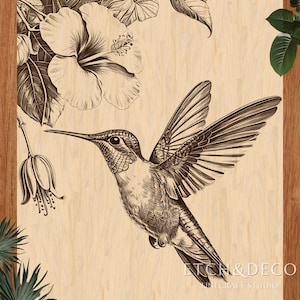 May include: A detailed illustration of a hummingbird in flight, with wings spread, and a long beak. The artwork is in shades of brown and beige, with a floral background. The text "ETCH & DECO LINECRAFT STUDIO" is at the bottom right.