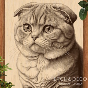 May include: A sepia-toned portrait of a Scottish Fold cat with folded ears and large eyes. The image is on a light wood background. The text "ETCH&DECO LINECRAFT STUDIO" is visible in the bottom right corner.