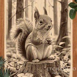 Squirrel with Acorn Laser Engraving PNG, Forest Animal Wood Burn File, Glowforge xTool CNC Design, Nature Etching Art, lightburn ready