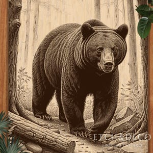 May include: A detailed sepia-toned illustration of a brown bear walking towards the viewer in a forest setting. The bear is the focal point, with detailed fur and a focused gaze. The artwork is framed by a wooden border, with the text "ETCH&DECO" visible.