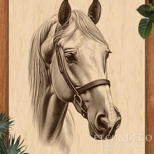 May include: A detailed sepia-toned illustration of a horse's head, featuring a bridle. The artwork is set against a light wood grain background. The text "ETCH & DECO LINE CRAFT STUDIO" is visible in the lower right corner.