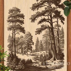 May include: A detailed woodcut-style illustration of a forest scene. Tall trees with textured bark and full canopies dominate the foreground, with a path winding through the woods. The artwork is in shades of brown and tan, creating a vintage aesthetic.