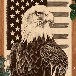 Bald Eagle with USA Flag PNG, Patriotic Laser Engraving Design, Wood Burn Art File, Glowforge xTool LightBurn CNC Ready, military etching