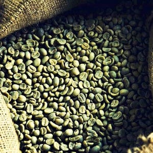 May include: A burlap sack filled with green coffee beans. The beans are unroasted and have a natural green color.