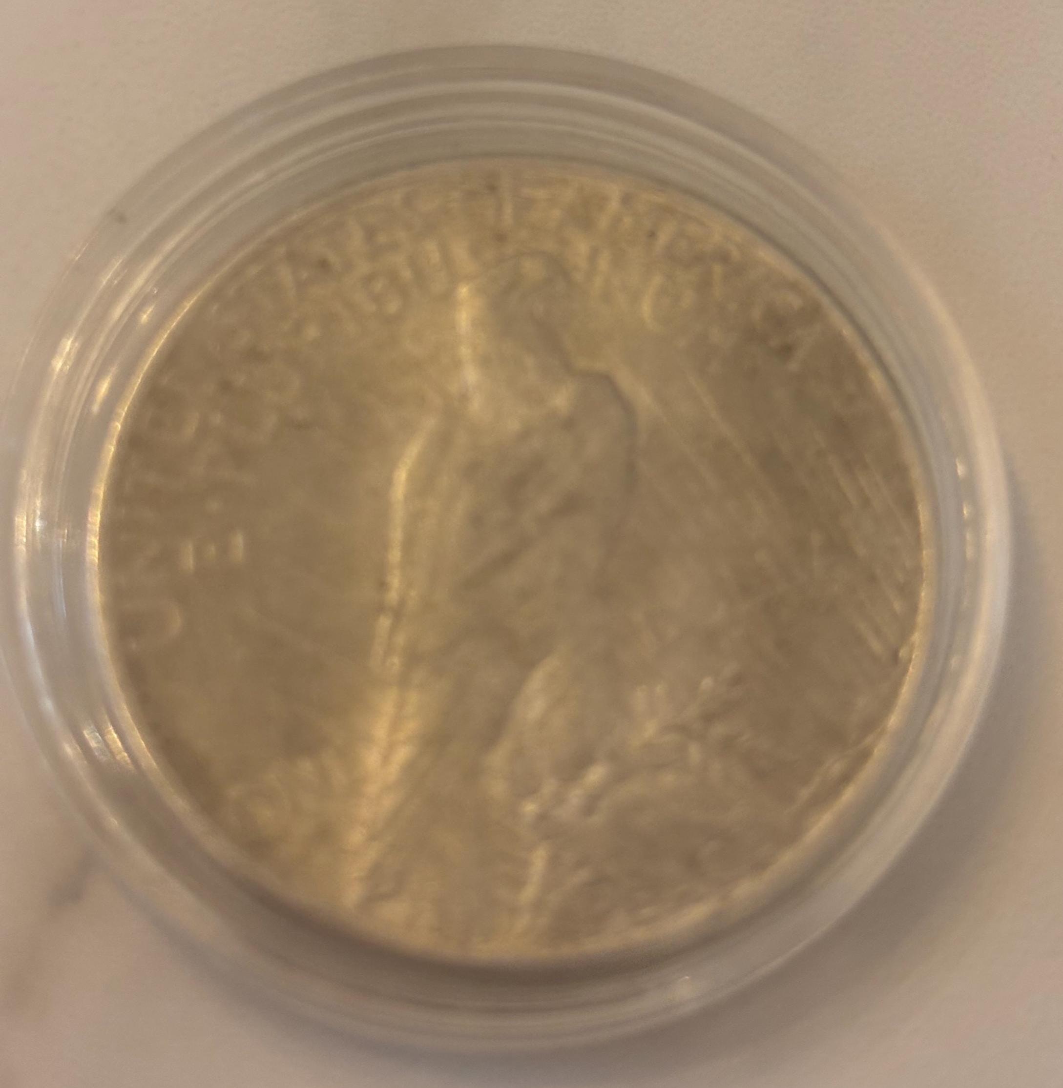 1925 P Peace Silver Dollar - Key Date - AU Lot #1093 - Etsy