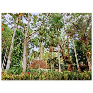 Entdecke Lush Serenity: Foto-Poster Jungle Hut - Perfekt für Naturliebhaber