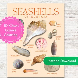 May include: A beige chart titled "Seashells of Georgia" featuring various seashell illustrations. The chart includes labels like "Knobbed Whelk," "Calico Scallop," and "Moon Snail." A pink sticker reads "ID Chart Games Coloring," and a green button says "Instant Download."