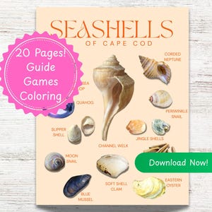 ケープコッドの貝殻の子供向けフィールドガイド - 印刷可能な自然ジャーナル（PDFダウンロード）