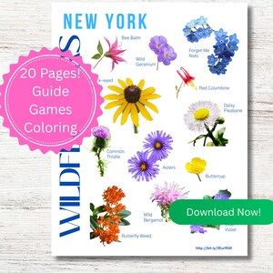 New York Wildflowers Field Guide for Kids, NY Nature Journal, Wild Flower Coloring and Games, Outdoor Learning,NY Kids Summer Vacation Idea