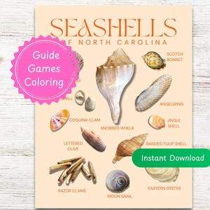 Puede incluir: Un póster beige con varias conchas marinas de Carolina del Norte, etiquetadas con sus nombres comunes. El póster incluye un gran Knobby Whelk y un Banded Tulip Shell, con el texto "Seashells of North Carolina". Una pegatina rosa dice "Guide Games Coloring".
