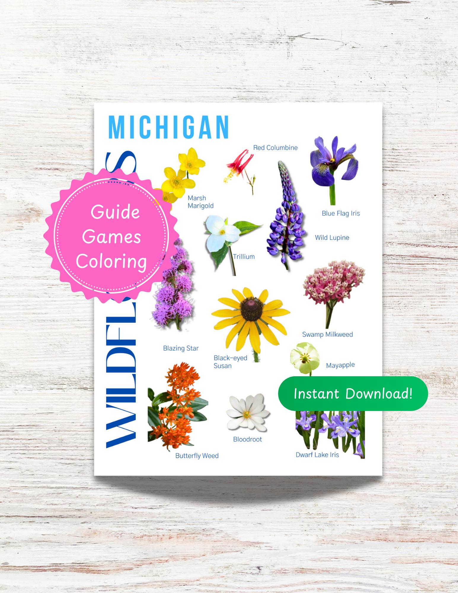 Michigan Wildflowers Guide for Kids - Flowers of MI: ID Chart, Fun
