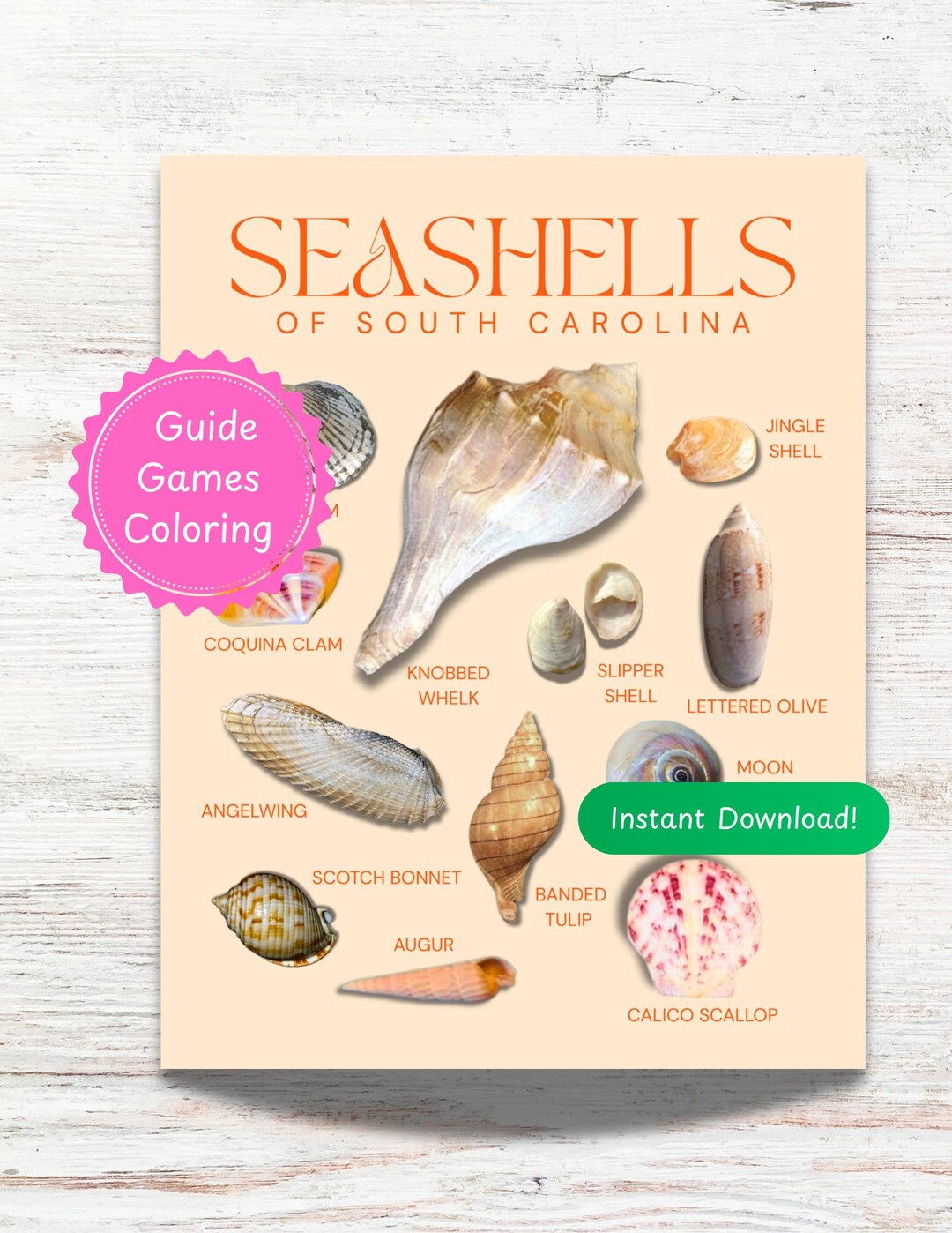 Sc Seashell Identification South Carolina Seashell Guide for Kids - Shells of SC. ID Chart, Fun ...