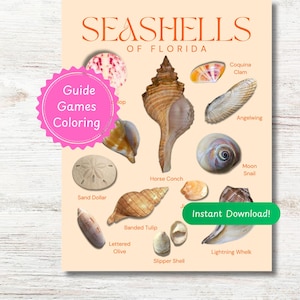 May include: A poster featuring various seashells of Florida, including a Horse Conch, Sand Dollar, and Lettered Olive. The poster has the text "Seashells of Florida" and a pink circle with the words "Guide Games Coloring". A green banner says "Instant Download!"