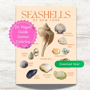 New York Seashell Guide for Kids - Shells of NY:  ID Chart, Fun Facts, Games, Coloring, Outdoor Fun! (Digital Download) Printable PDF